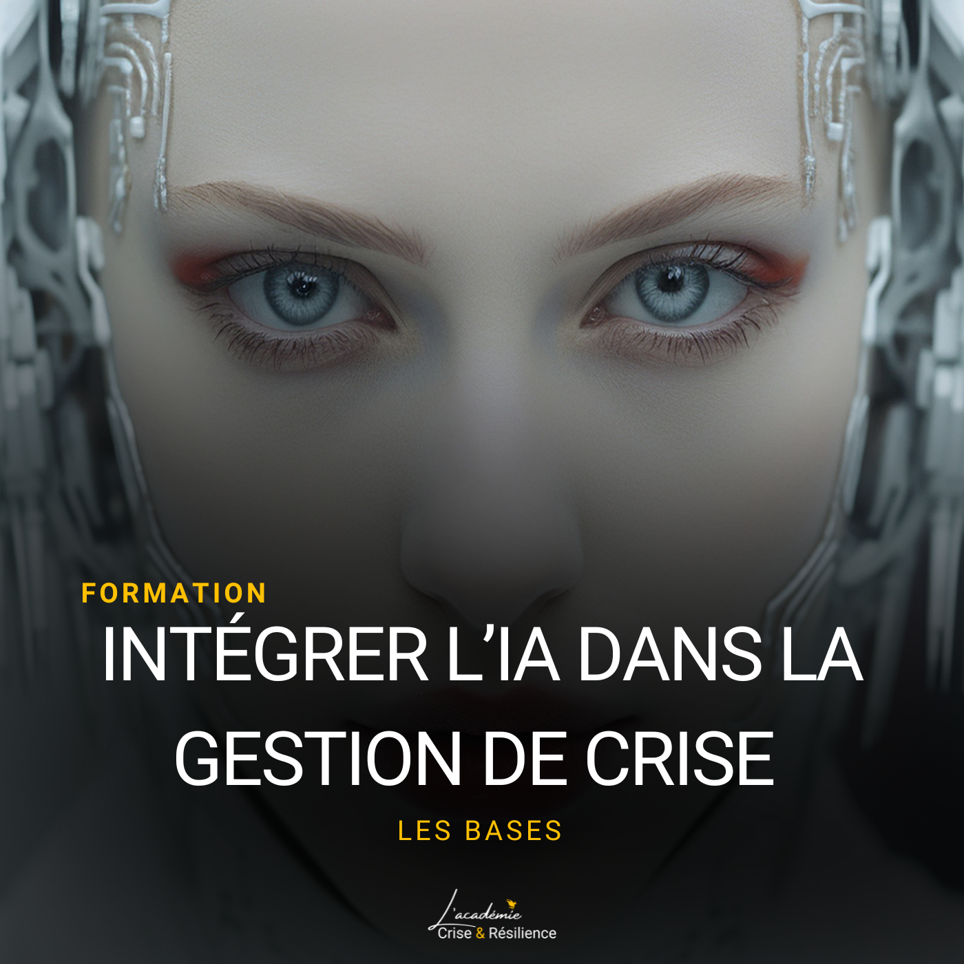 Formation IA et Gestion de crise